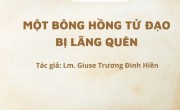 MỘT BÔNG HỒNG TỬ ĐẠO BỊ LÃNG QUÊN