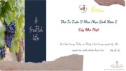 Suy niệm Thứ Tư Tuần V Mùa Phục Sinh