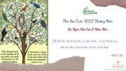 Suy niệm Thứ Hai Tuần 17 Mùa Thường Niên