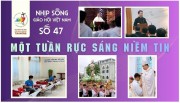 NHỊP SỐNG GIÁO HỘI VIỆT NAM – SỐ 47