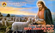 CHIA SẺ LỜI CHÚA CHÚA NHẬT IV PHỤC SINH