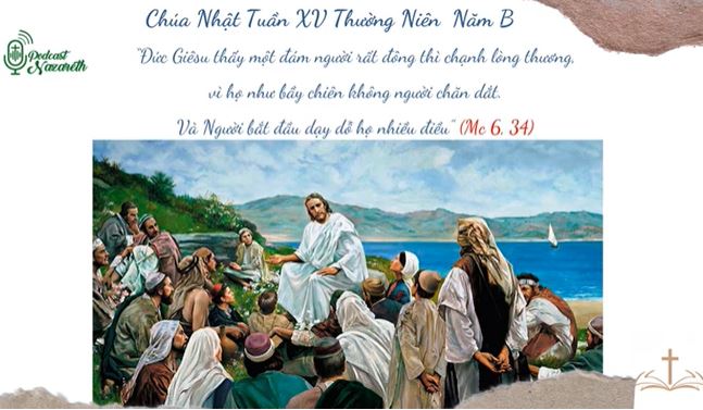 SUY NIỆM TIN MỪNG CHÚA NHẬT TUẦN 16 THƯỜNG NIÊN - NĂM B