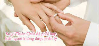 CHÚC MỪNG NGÀY GIEO BƯỚC TÌNH HỒNG