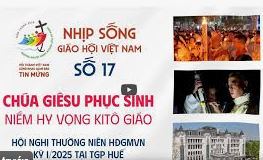 NHỊP SỐNG GIÁO HỘI VIỆT NAM - SỐ 17
