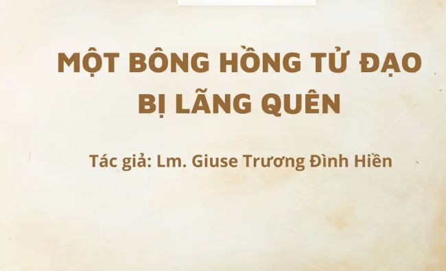 MỘT BÔNG HỒNG TỬ ĐẠO BỊ LÃNG QUÊN