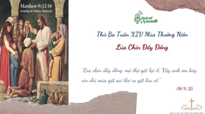 Suy niệm Thứ Ba Tuần XIV Mùa Thường Niên