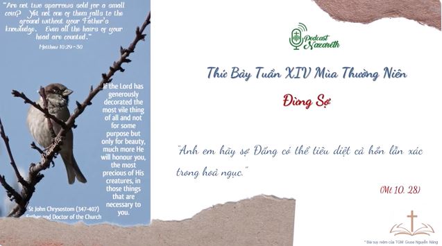 Suy niệm Thứ Bảy Tuần XIV Mùa Thường Niên