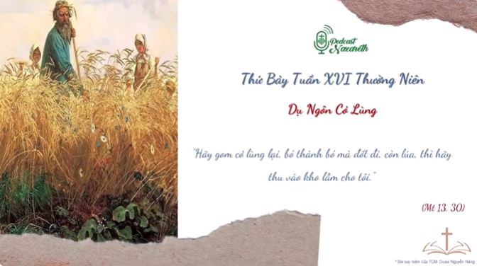 Suy niệm Thứ Bảy Tuần 16 Mùa Thường Niên
