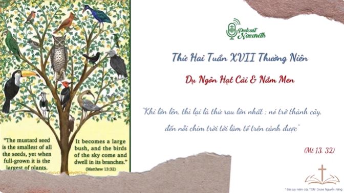 Suy niệm Thứ Hai Tuần 17 Mùa Thường Niên