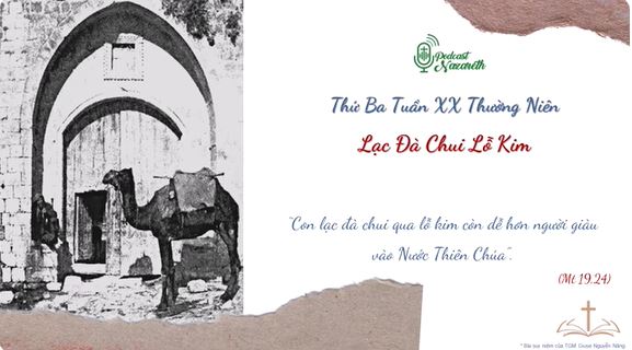 Suy niệm Thứ Ba Tuần XX Thường Niên