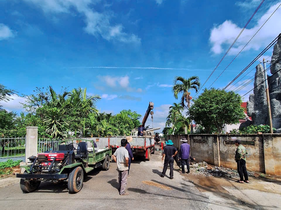 ĐOÀN TRÁNG NIÊN CHUNG TAY LÀM ĐẸP KHUÔN VIÊN THÁNH ĐƯỜNG