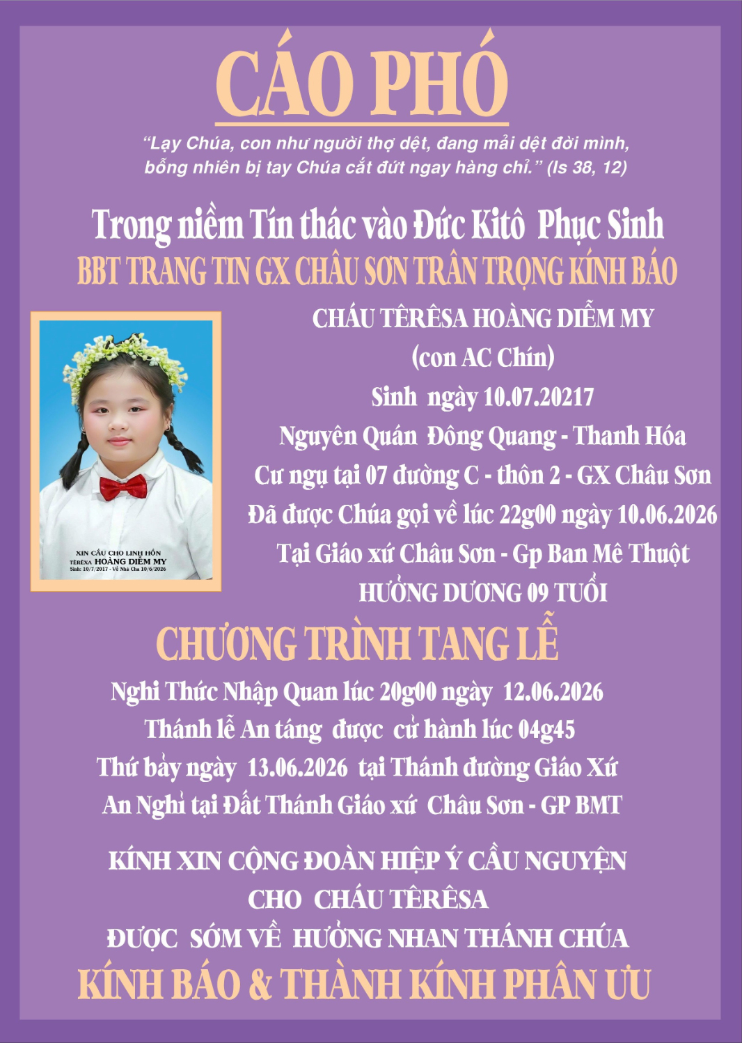 CAO PHO CT
