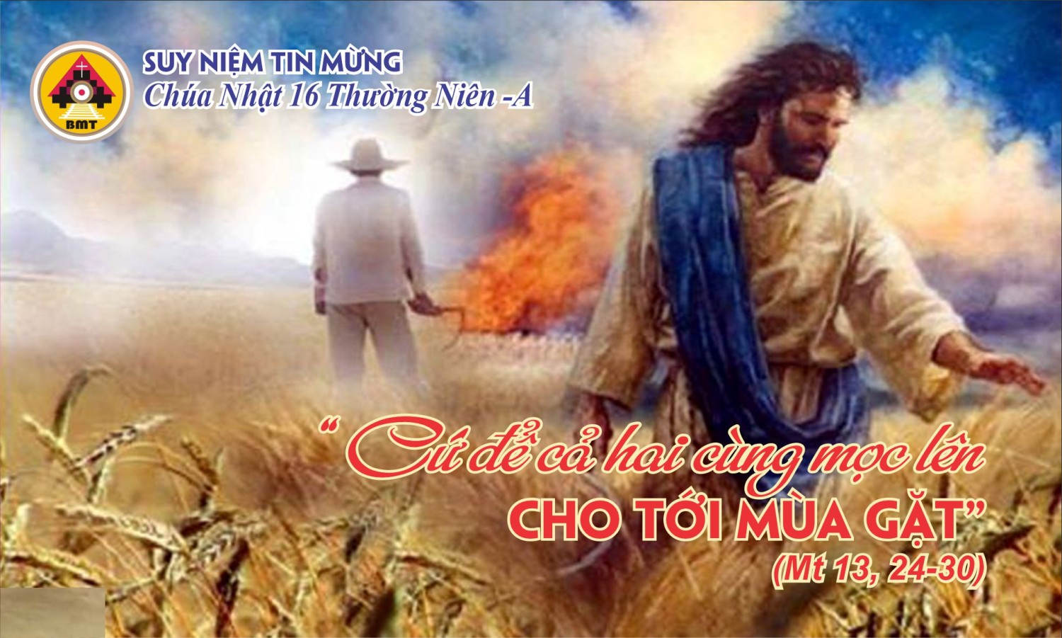 CHIA SẺ LỜI CHÚA CHÚA NHẬT XVI THƯỜNG NIÊN